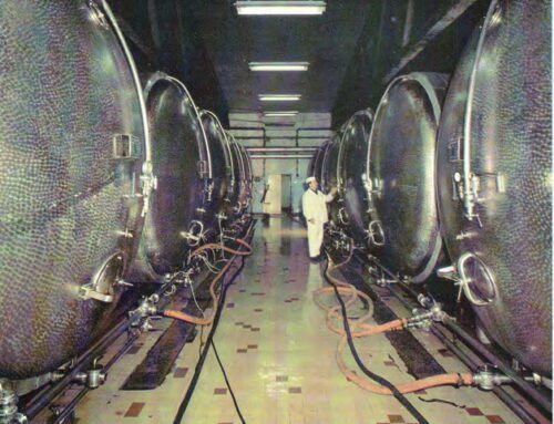 ГОД 1962.